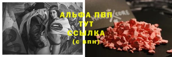 ешки Аркадак
