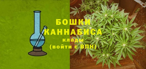 ешки Аркадак
