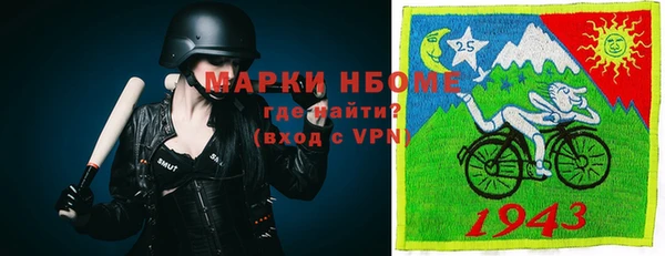ешки Аркадак